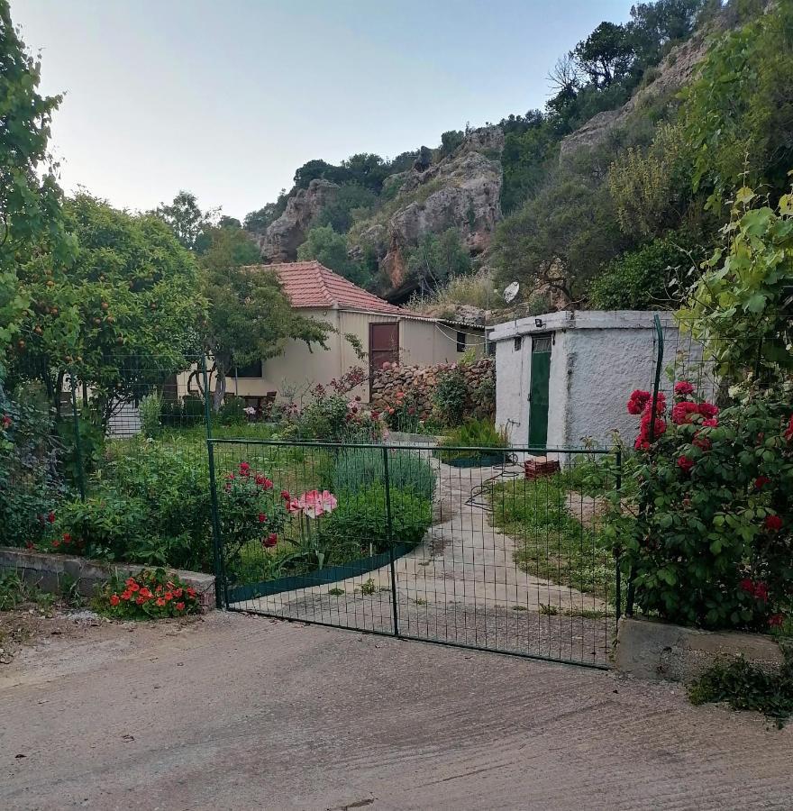 House Of Monachogios, Agios Fokas, Monemvassia Apartment Monemvasía Екстериор снимка