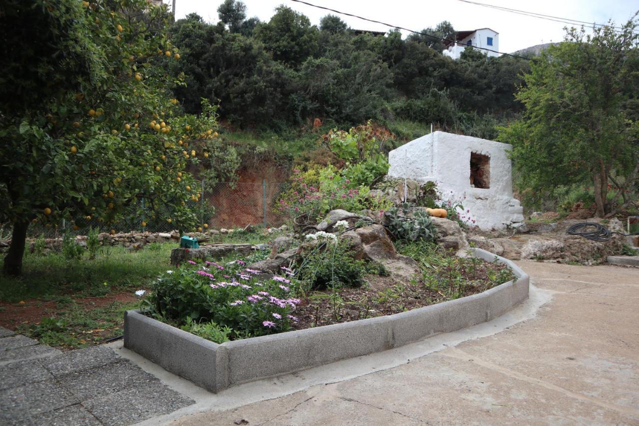 House Of Monachogios, Agios Fokas, Monemvassia Apartment Monemvasía Екстериор снимка