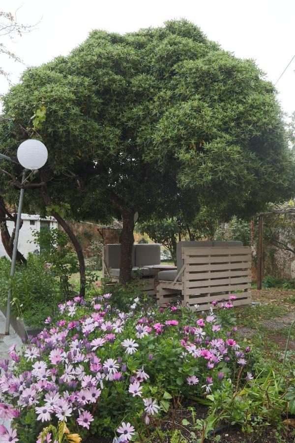 House Of Monachogios, Agios Fokas, Monemvassia Apartment Monemvasía Екстериор снимка